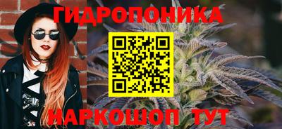 шишки Краснознаменск