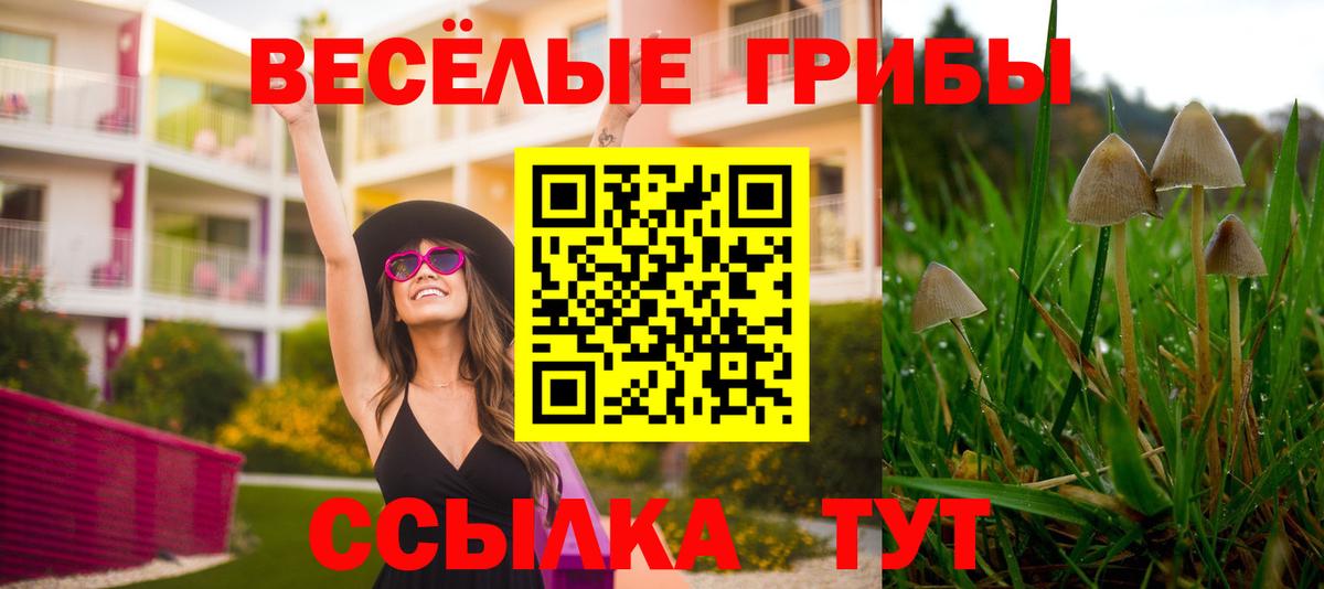 Касимов  Галлюциногенные грибы GOLDEN TEACHER  Галлюциногенные грибы Psilocybe  Вход с VPN 
